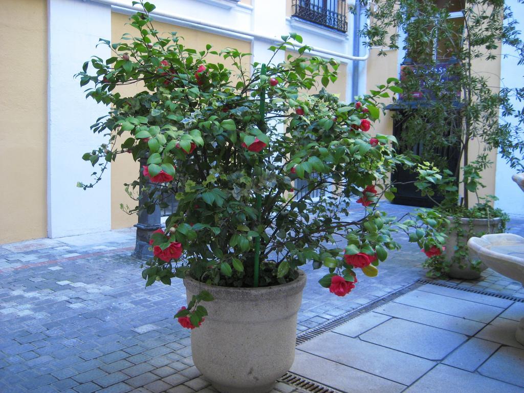 מדריד Hostal Huespedes Toledo מראה חיצוני תמונה
